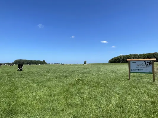 Afbeelding De Wieringer ijs- en zuivelboerderij