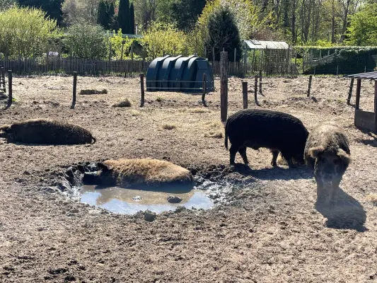 Afbeelding De Wijckse Hoeve