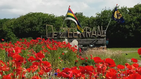 Afbeelding De Zeekraal Eilandboerderij