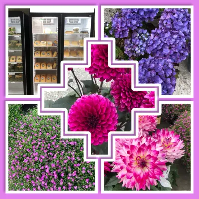 Afbeelding Dieuw’s bloemen en Jochem’s kaas