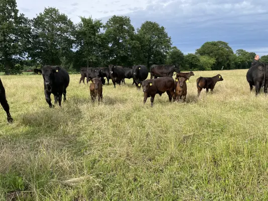 Afbeelding Drosterhoeve