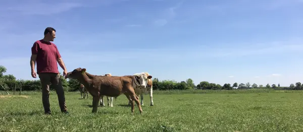 Afbeelding Ecoboerderij De Haan
