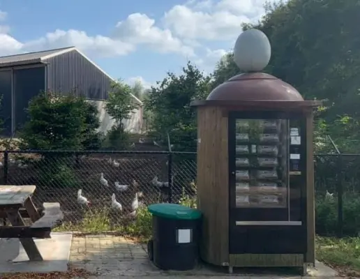Afbeelding Eierautomaat oosterwolde