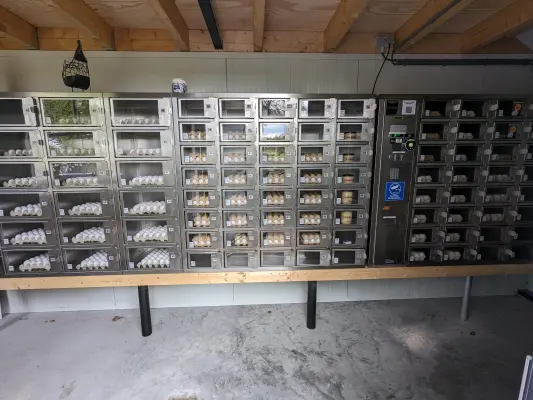 Afbeelding Eierautomaat Pluimveehouderij Bouw-van den Broek
