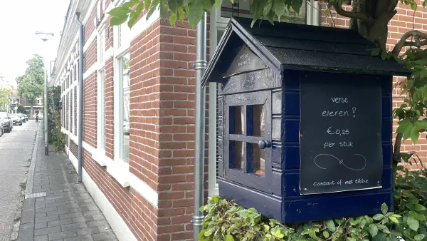 Afbeelding Eieren aan de weg
