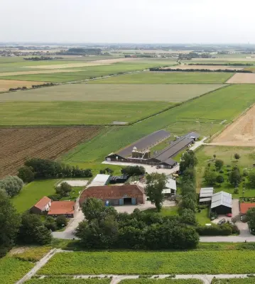 Afbeelding Eierverkoop Duvekot