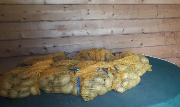 Afbeelding F. Knol Agro