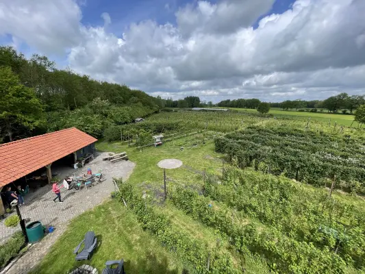 Afbeelding Fruithof de Struikrover