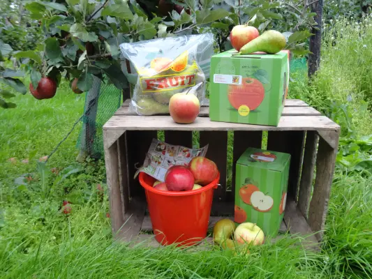 Productfoto Appel\appelperen sap