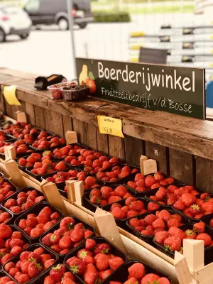 Afbeelding VD Bosse Fruit