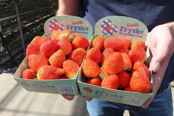 Productfoto Fryske Strawberries 12x400gr.