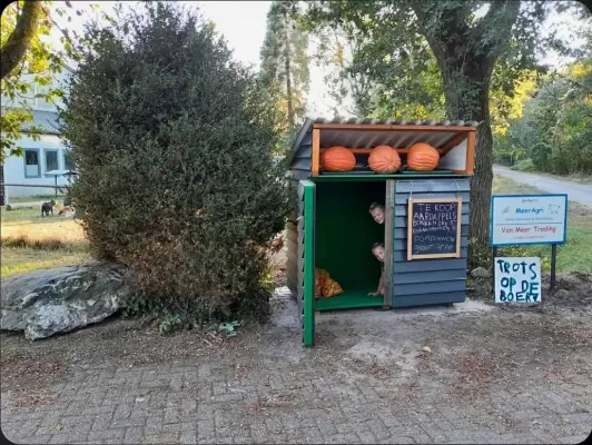 Afbeelding Gebroeders Van Meer aardappelen en uien