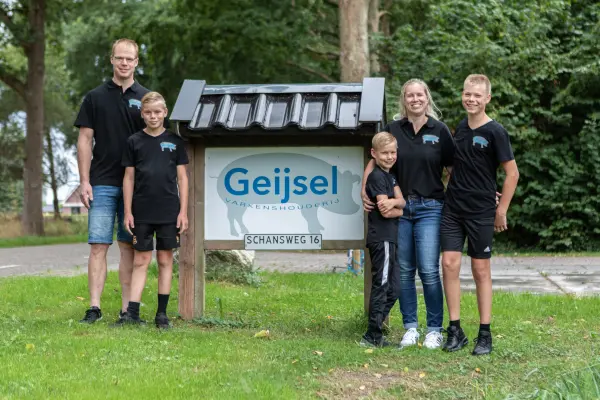 Afbeelding Geijsel Varkens
