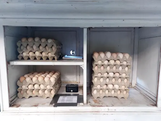 Afbeelding Greenfarm's Eierkastje