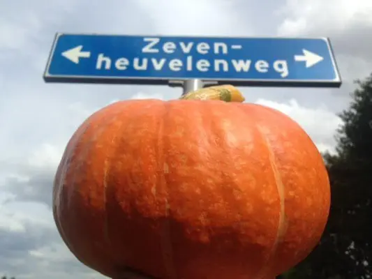 Afbeelding Groentenhof Poelen