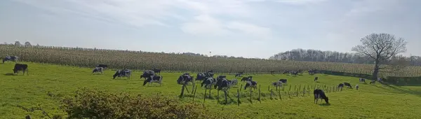 Afbeelding Boerderij Haredale