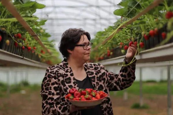 Afbeelding Het Aardbeienvrouwtje