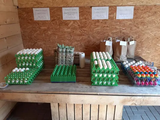 Afbeelding Het Eierhokkie