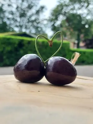 Afbeelding Het Stalletje onder aan de Dijk❣️