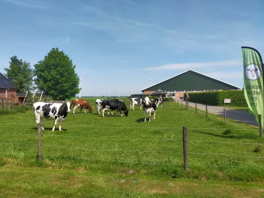 Afbeelding Het Taphuisje