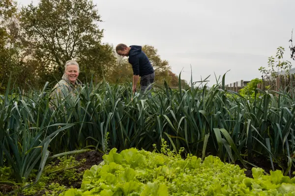 Afbeelding Hoeve Hoogland