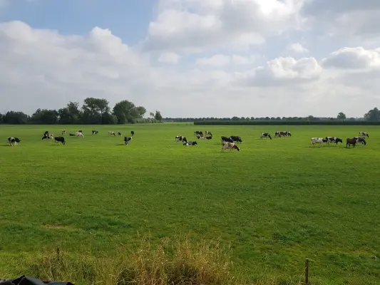 Afbeelding IJs- en Zuivelboerderij JoLo