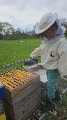 Afbeelding Imkerij Happy Bee