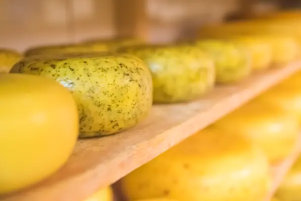 Afbeelding Kaas- en zuivelboerderij 't Hoepel