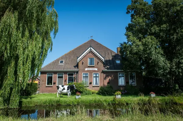 Afbeelding Kaasboerderij Henri Willig - Alida Hoeve - Volendam