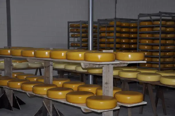 Afbeelding Kaasboerderij Schrama Rijpwetering