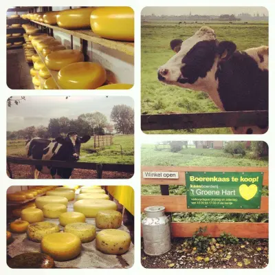 Afbeelding Kaasboerderij 't Groene Hart