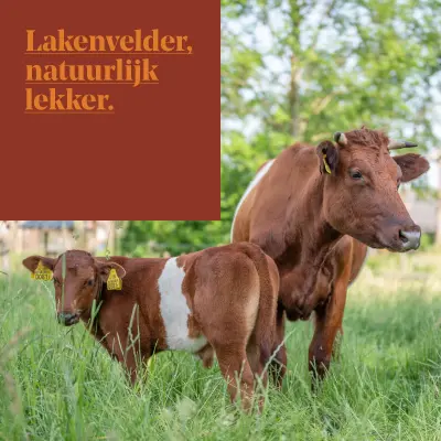 Afbeelding Kasteelboerderij Waalre