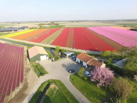 Afbeelding Landbouwbedrijf Osseweijer