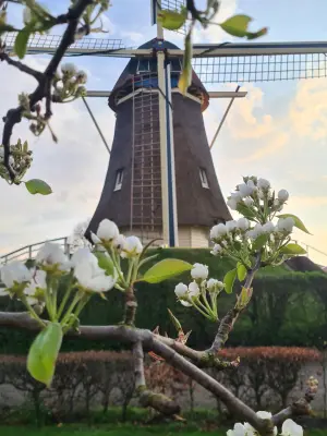 Afbeelding Landwinkel Molen de Duif