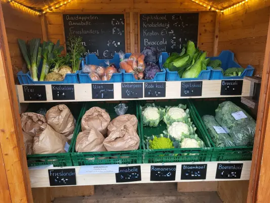 Afbeelding Lekker vers van de Rachelseweg