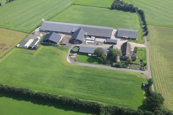 Afbeelding Geitenhouderij 'de Nieuwe Riet' Leusdens Geitenlam