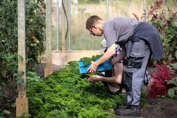 Afbeelding Lievegoed De Beukenhof