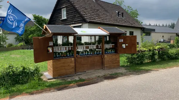 Afbeelding LIF Kruidenkraam - verse kruiden, moestuinplanten en eetbare bloemen. Wisselend aanbod!