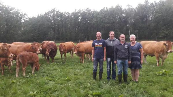 Afbeelding Limousinbedrijf Van Lievenoogen Gastel