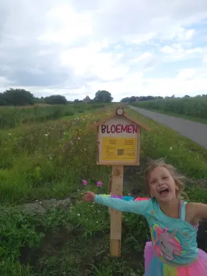 Afbeelding Maatschap de Vlieger