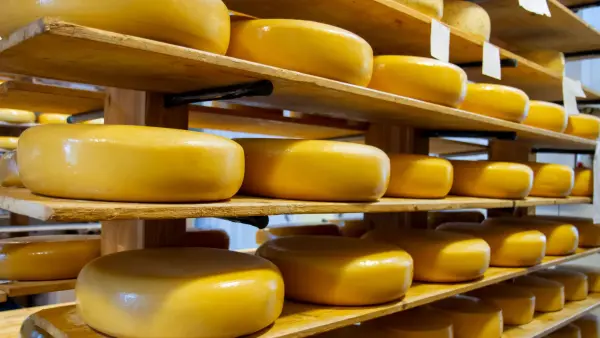 Afbeelding Melktap de Leegvelder
