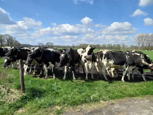 Afbeelding Melktap De Oude Melkstal