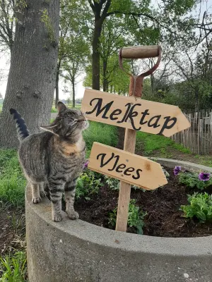 Afbeelding Melktap en vlees van melkveebedrijf Koskamp