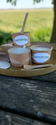 Productfoto Melk-ijs, heerlijk en romig van de melk van onze koeien