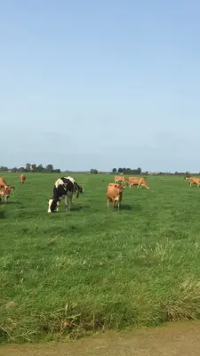 Productfoto Biologische rauwe melk