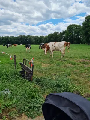 Afbeelding Melkveebedrijf Booijink vof