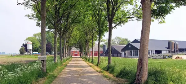 Afbeelding Melkveebedrijf Brinkman