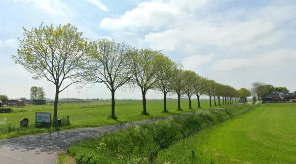 Afbeelding Midhumster