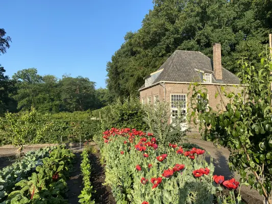 Afbeelding Moestuin landwinkel Landgoed Zuylestein
