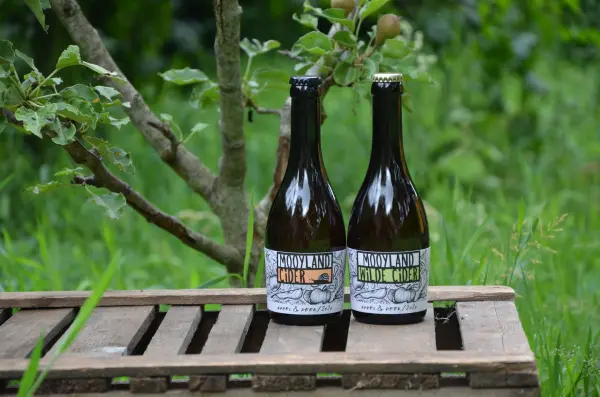 Afbeelding Mooyland Cider